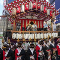 今宮戎神社の十日戎・宝恵駕行列（令和７年１月１０日）Insta360 X4