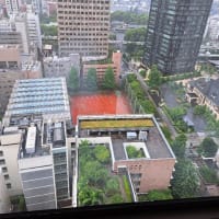 朝の麹町界隈で