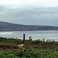 海鳥のサンクチュアリ　天売島と森林浴を楽しむメルヘンの焼尻島　４７回目　焼尻島