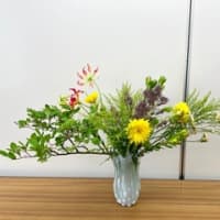 ライセンスコースの投げ入れレッスン♪