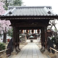 新井薬師