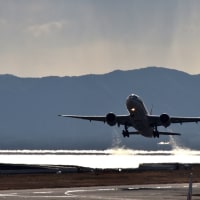 カタール航空カーゴ、ドーハ～大阪/関西～香港間の貨物定期便に2020年1月15日就航🎉