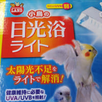 紫外線ライトのメリット