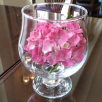 紫陽花色に囲まれて・・アンカーズラウンジ