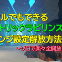 【NGS】サルでもできる「ジオメトリックラビリンス」ソロで楽々チャレンジ設定全開放