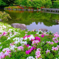昭和記念公園の日本庭園（4/30 m）
