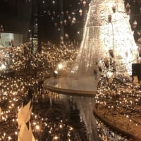 娘の大好きなアラジンの世界✨イルミネーションに行ってきた！！