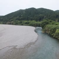 本日の海部川