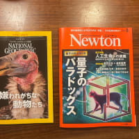 子供の理系教育