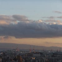 2016－12－30　　　　その日の雲　　　NO.13