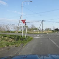 「煩悩林道2025」vol.18「裏275号」