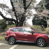 二代目ＦＯＲＳＴＥＲ引退
