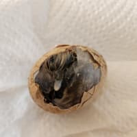 生まれたー！