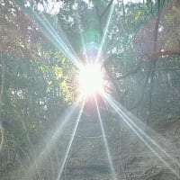 私の為に
