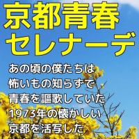 拙著　京都青春三部作　好評発売中