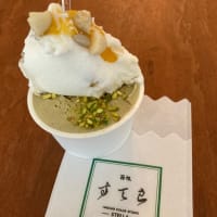 小田原城登城•あじさい花菖蒲②