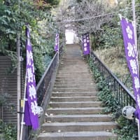 2024年10月期ざっくりまとめ