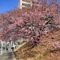 誰もが表現者