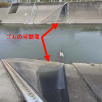 水戸の三角(11)