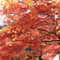 無事帰宅