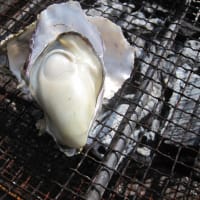 瀬戸貝が美味いんです Gooブログはじめました 瀬戸貝が美味いんです Gooブログはじめました
