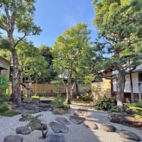 小田原別邸料理 清閑亭の蔵カフェでは、かき氷の提供をはじめました。小田原の涼を感じにぜひご来園ください。
