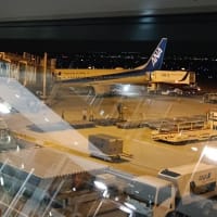 本日のご搭乗機２（ＪＡ８５ＡＮ）…