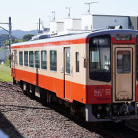遠州鉄道と天竜浜名湖鉄道（その４）天浜線で新所原、東海道線で帰る。