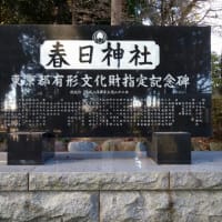 令和7年初詣　春日神社