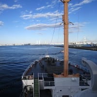 初詣と思い出ぽろぽろ