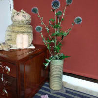 ヒゴタイの仲間　瑠璃だま　檜扇の花