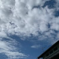 今日の空