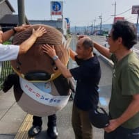 今年も出会いました。　バーコード頭の野洲のおっさん