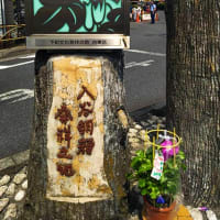 四万六千日分の功徳。