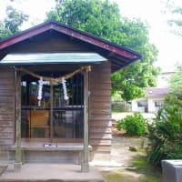永利のオガタマノキ