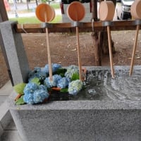 大麻神社に風鈴が鳴る