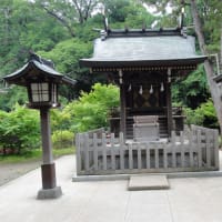 首都圏に点在する約280の氷川神社の本社で2400年の歴史を持つ屈指の古社！