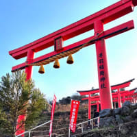 初詣　　稲荷神社へ