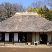 フキ、ツクシなど