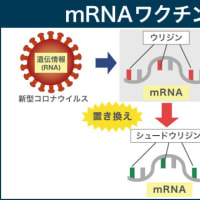 mRNAワクチンは生物兵器であり人類の思想を征服して思考能力を破壊するのが目的である!!