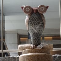 この街にはあちこちに梟🦉がいますが！ありゃぁ～ここにも🦉！いたいた、居たね！