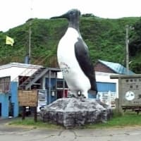 海鳥のサンクチュアリ　天売島と森林浴を楽しむメルヘンの焼尻島　２７回目　天売島