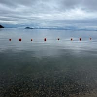 奥琵琶湖マキノ