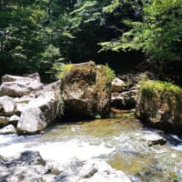 2025-07-15 Photo