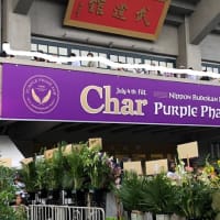★CHAR古希記念ライブ♪ PURPLE PHASE JAM♪武道館★