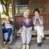 薬師池散歩