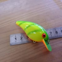 TROUT ZX | PRODUCTS | trout nories