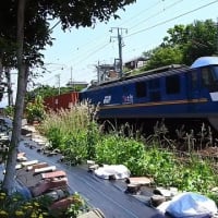 2025ー07ー14(^_-)-☆撮り鉄をしながらJR大野浦駅周りをウオーキング！
