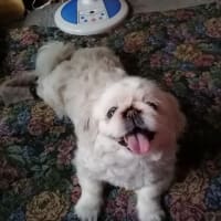 昨日は、