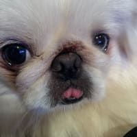 まあくん